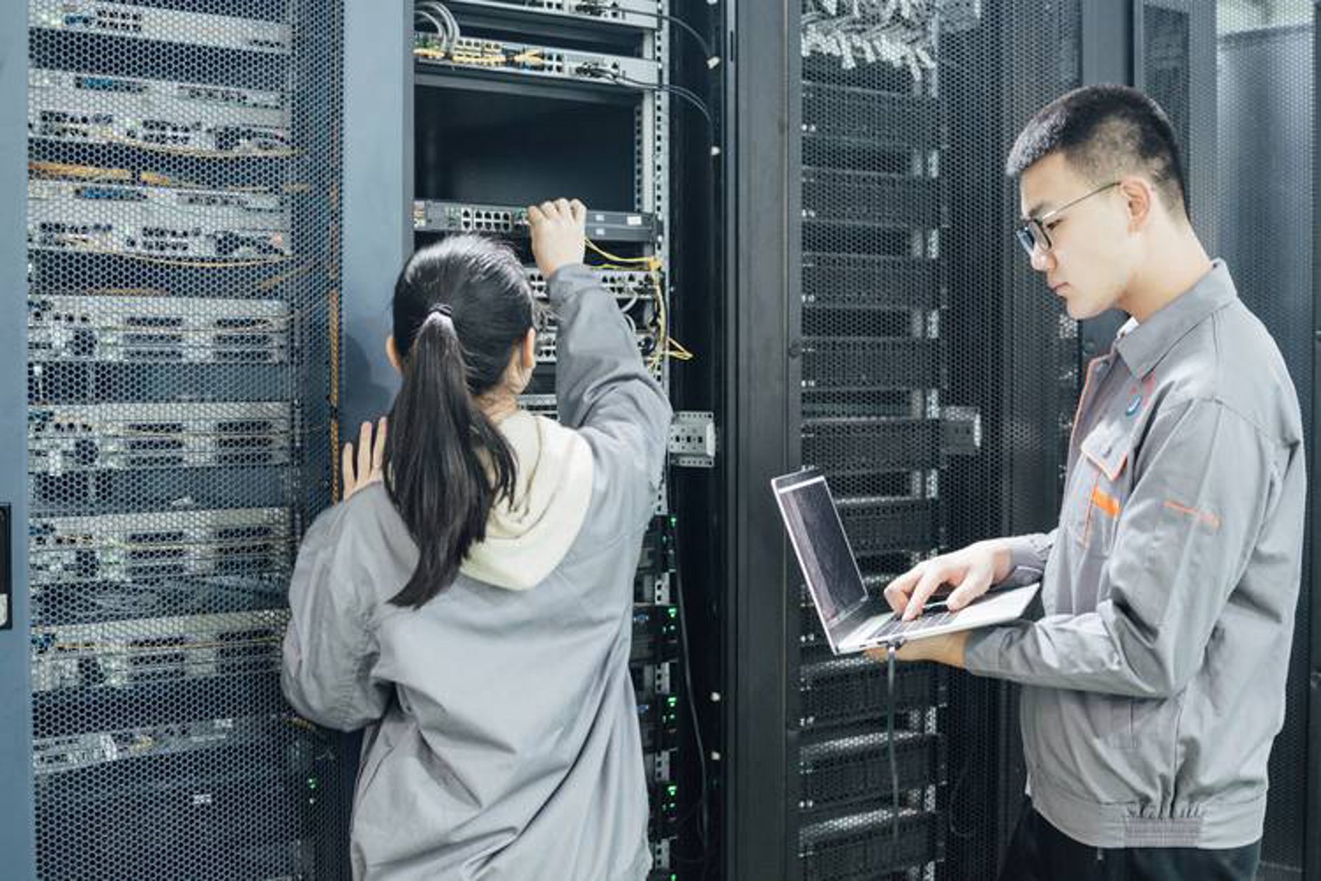 系柳信息科技